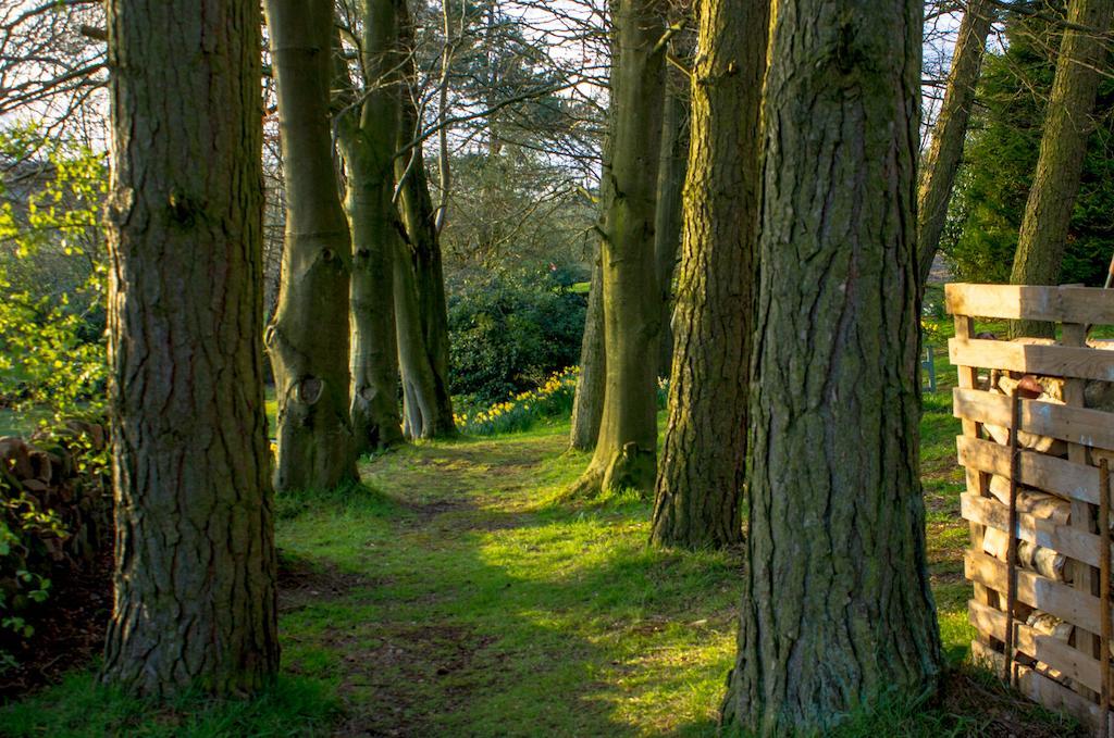 Robin Hood Farm B&B Baslow Bagian luar foto