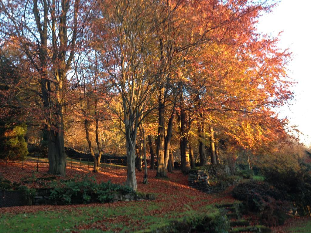Robin Hood Farm B&B Baslow Bagian luar foto
