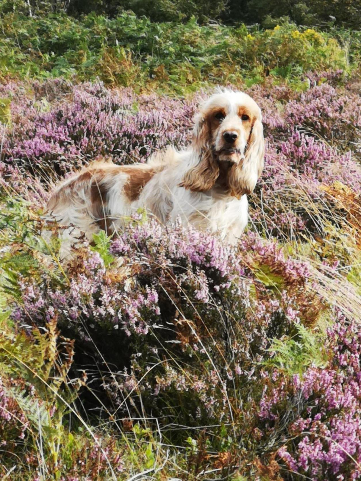 Robin Hood Farm B&B Baslow Bagian luar foto