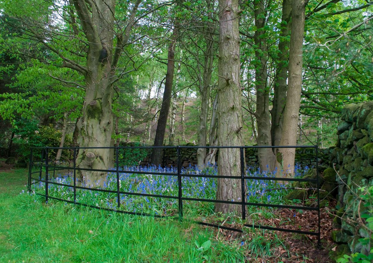 Robin Hood Farm B&B Baslow Bagian luar foto